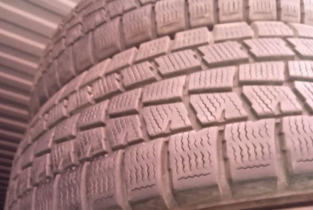 Dunlop Winter Maxx WM01 175/65 R14