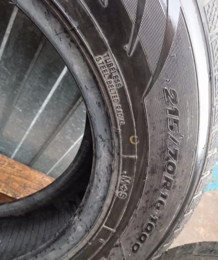 Toyo Winter Tranpath MK4a 215/70 R16