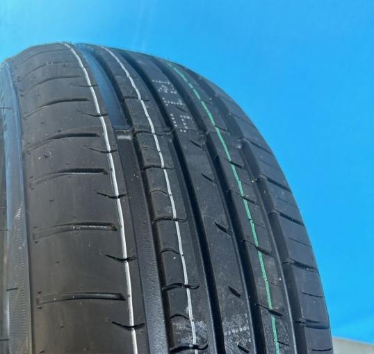 Fronway EcoGreen 55 195/55 R15 85V