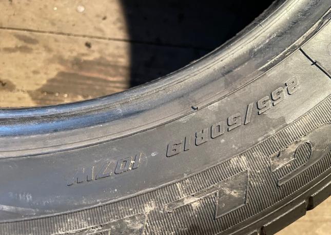 Goodyear Eagle F1 Asymmetric 255/50 R19