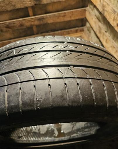 Goodyear Eagle F1 Asymmetric 255/50 R19