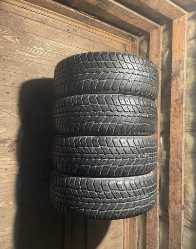 Roadstone Winguard 231 205/60 R16