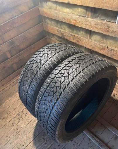 Dunlop Winter Sport 5 SUV 285/40 R20 и 255/45 R20