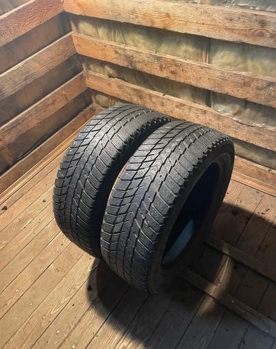 Nexen Winguard Ice Plus 195/55 R16