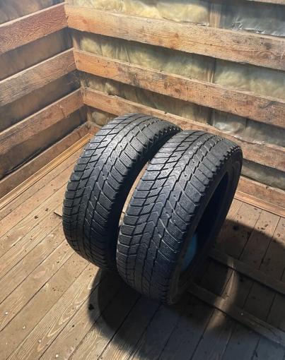 Nexen Winguard Ice Plus 195/55 R16