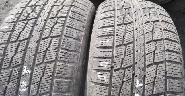 Federal Himalaya WS2 225/50 R17