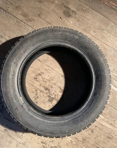 Triangle WinterX TW401 205/55 R16