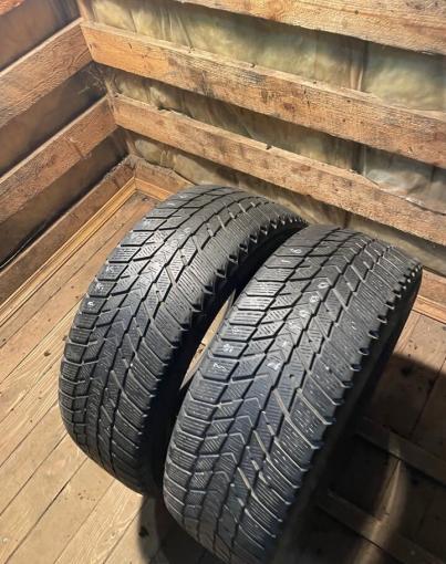 Nexen Winguard Ice Plus 195/55 R16