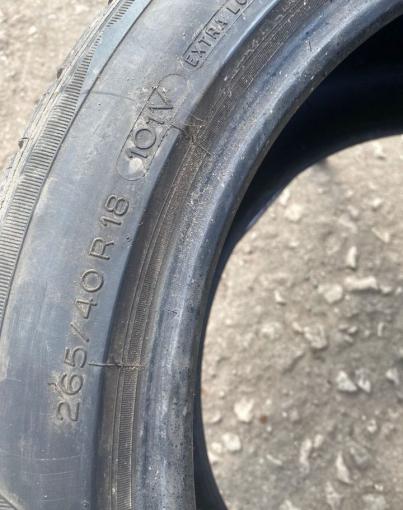 Michelin Pilot Alpin PA2 265/40 R18