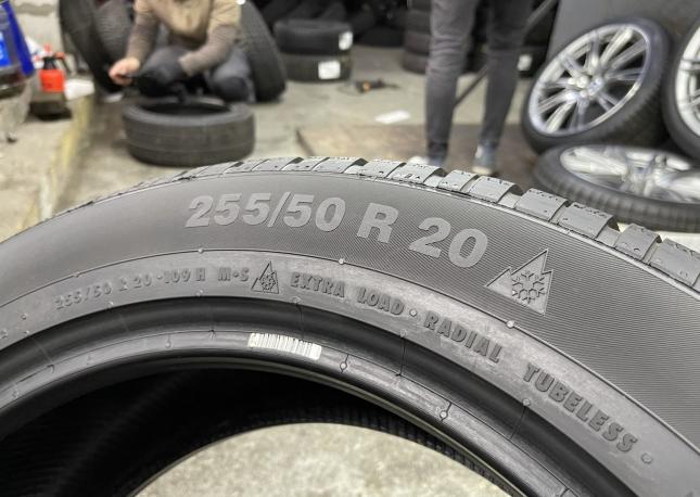 Continental ContiWinterContact TS 830 P 255/50 R20 109H