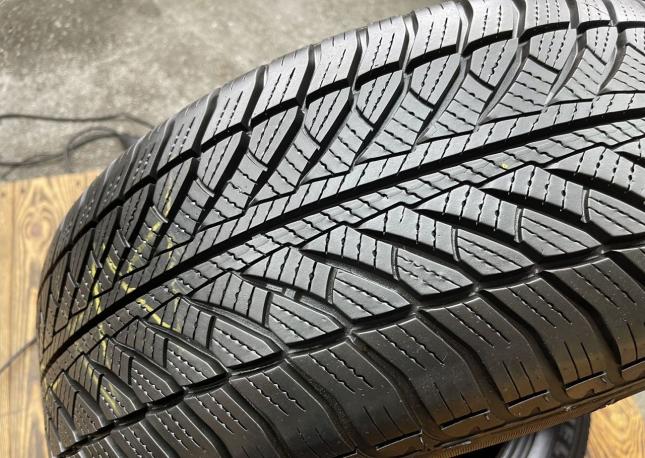 Goodyear Eagle Ultra Grip GW-2 225/55 R17