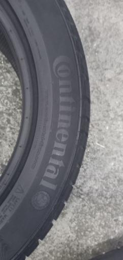 Continental ContiWinterContact TS 830 P 255/50 R19 107V