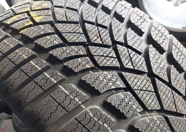 Dunlop SP Winter Sport 3D 295/30 R19 и 235/35 R19