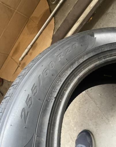 Pirelli Scorpion Winter 255/60 R20 113V