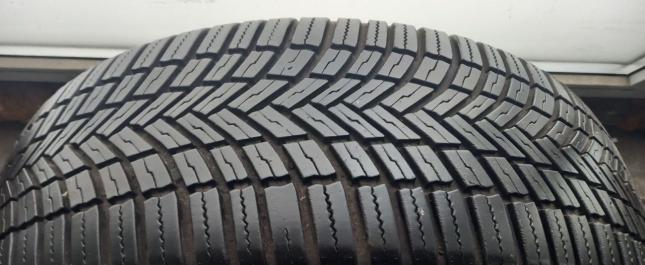 Bridgestone Weather Control A005 225/55 R19 99V