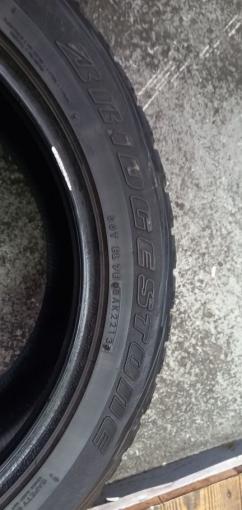 Bridgestone Blizzak DM-V1 265/50 R20 106R