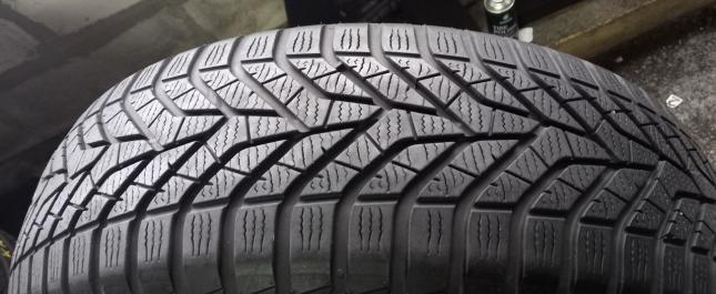 Yokohama BluEarth Winter V905 225/65 R17 102H