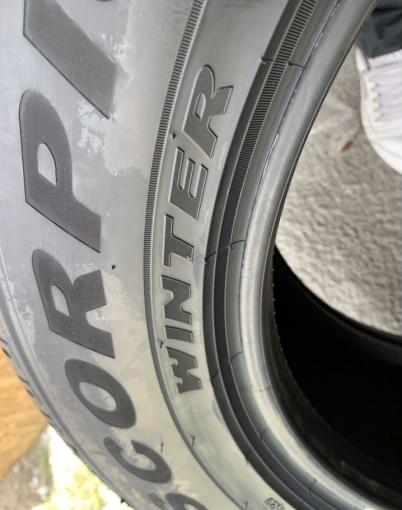 Pirelli Scorpion Winter 265/55 R19