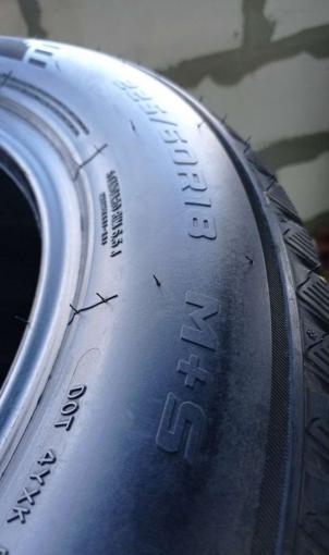 Fortuna Winter 225/60 R18