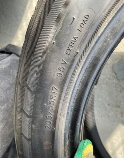 Evergreen EH22 205/55 R17 95V