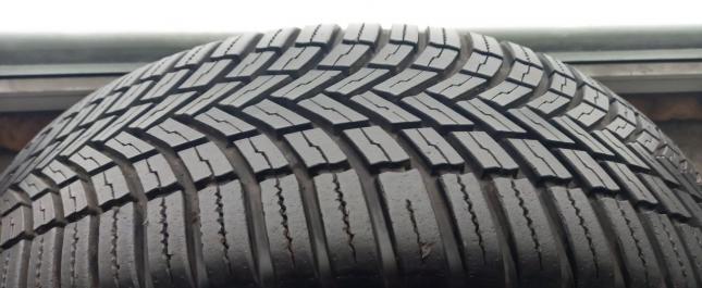 Bridgestone Weather Control A005 225/55 R19 99V