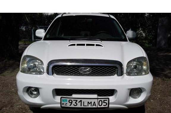 Запчасти hyundai santa FE 1 Classic