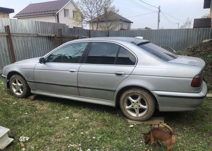 BMW E 39