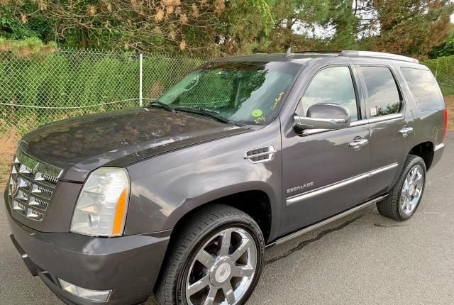 Cadillac Escalade 2010г в разборе