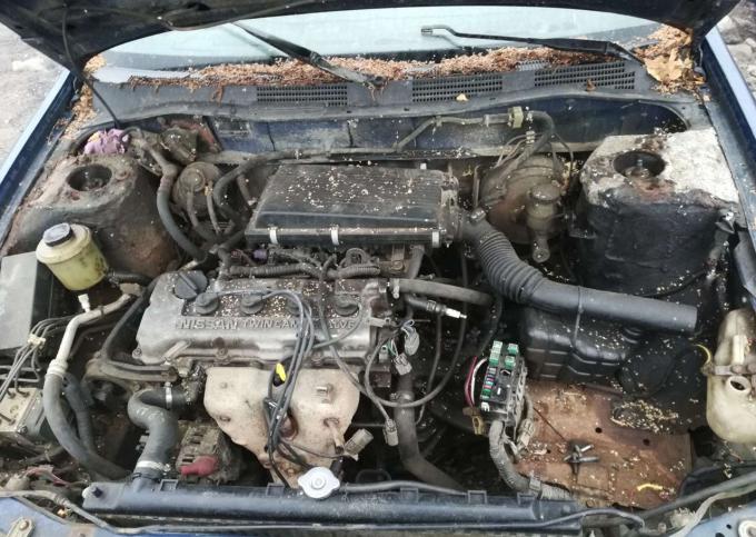 Запчасти nissan primera p11