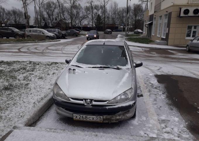 Разбор Пежо 206/Peugeot 206