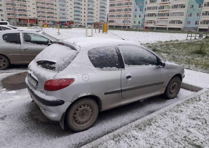 Разбор Пежо 206/Peugeot 206