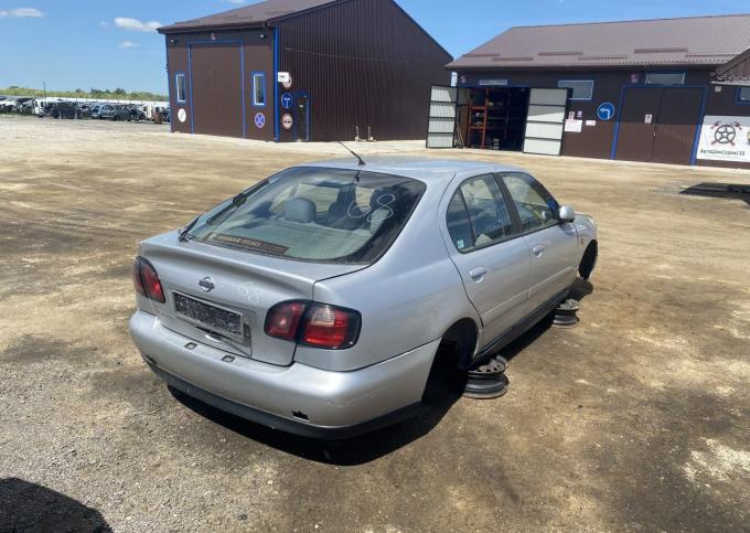 Nissan Primera 2001 p11 1.8 бенз