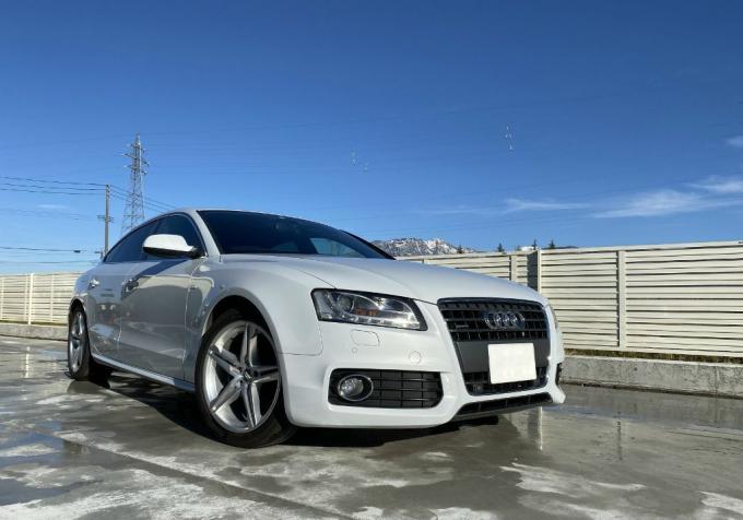 В разборе Audi A5 (8T) 2010г. 2,0л. 4WD