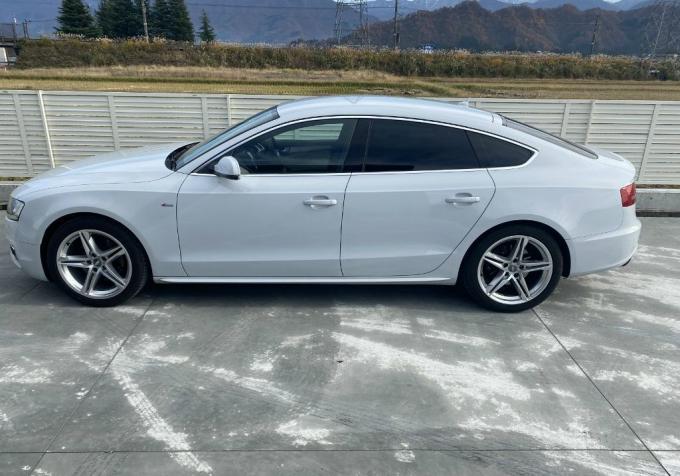 В разборе Audi A5 (8T) 2010г. 2,0л. 4WD