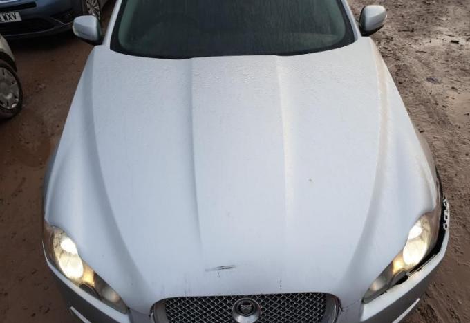 Разбирается Jaguar XF 2008г. 2,7Dizel 276DT