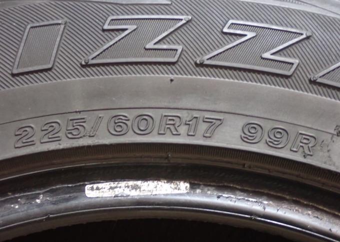 Bridgestone Blizzak DM-V1 225/60 R17 99R