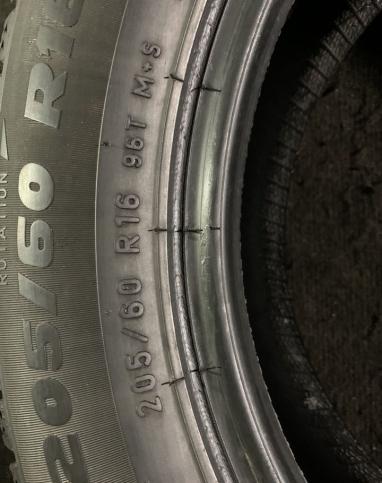 Formula Ice 205/60 R16 96T