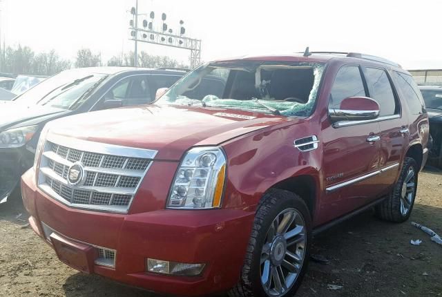 Запчасти на Cadillac Escalade 900 Platinum