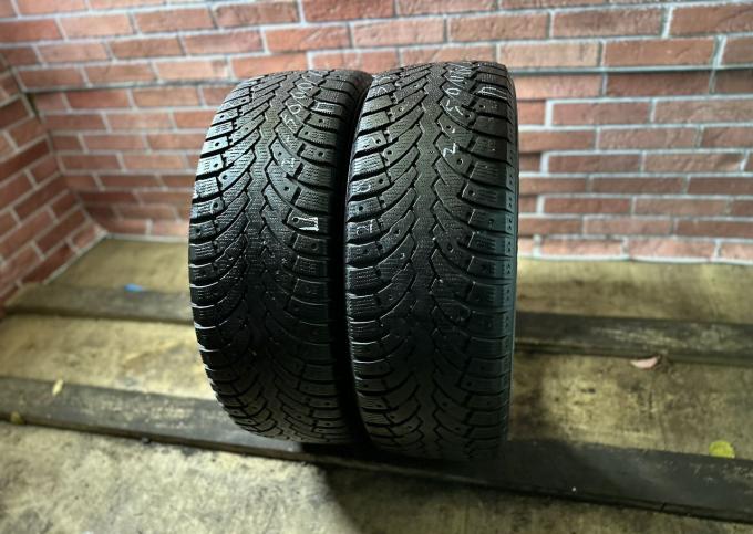 Formula Ice 205/55 R16 91T