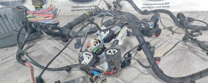 Коса моторная Land Rover Freelander 2 2.2 07-10 LR009317