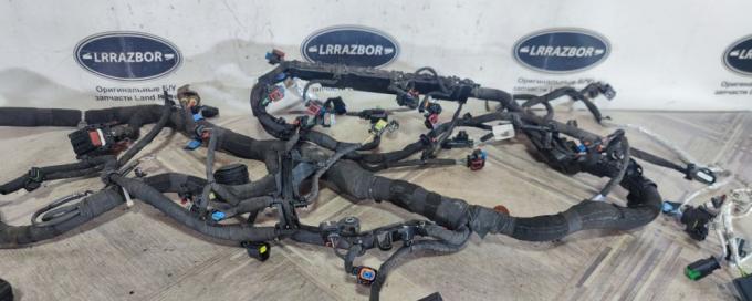 Коса моторная Range Rover Evoque 2.0 дизель L538 LR093580