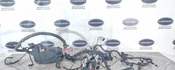 Коса моторная Land Rover Freelander 2 2.2 07-10 LR009317