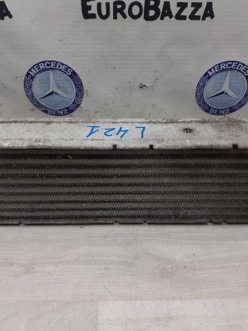 Интеркулер Mercedes R171 A2035000600