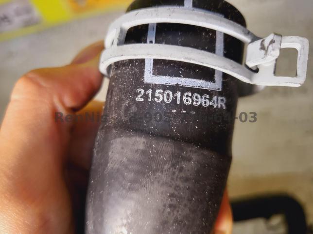 Рено Аркана патрубок радиатора охлаждения НОВЫЙ 215016964R