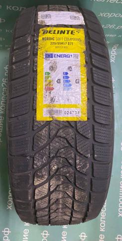 225/55 R17 Delinte Winter WD1 зимние нешипованные