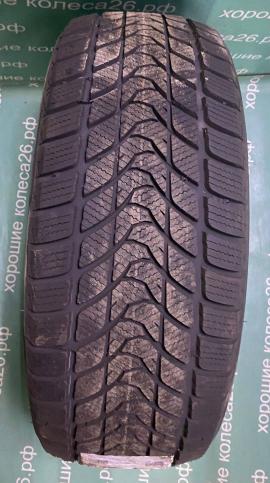 225/55 R17 Delinte Winter WD1 зимние нешипованные