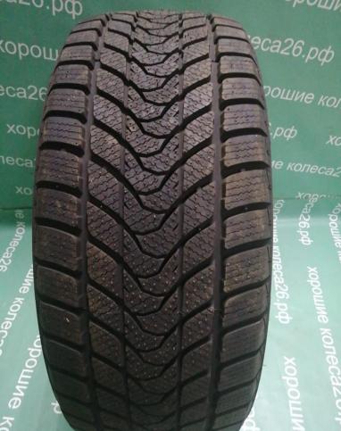 Delinte Winter WD1 215/45 R17