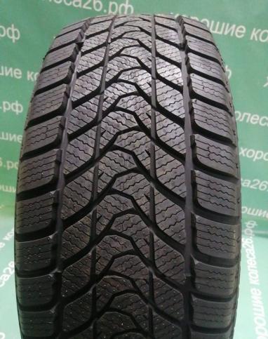 Delinte WD1 195/55 R15