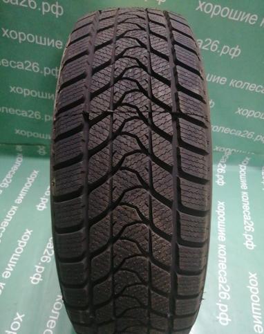 Delinte Winter WD1 205/65 R16