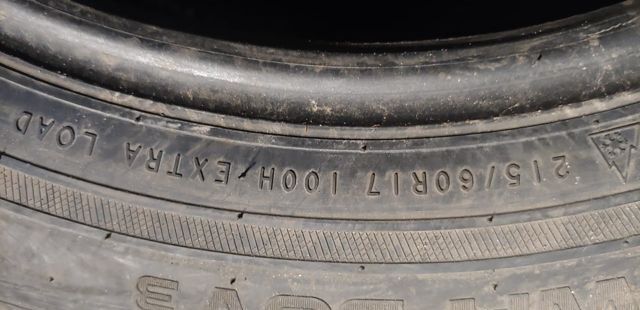 Nokian Tyres WR SUV 3 215/60 R17 100H